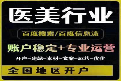 SEM服务优势案例分享